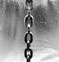 CM® Chain Guide (20877801)