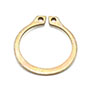 Coffing Retaining Ring (H5501 (E-26))